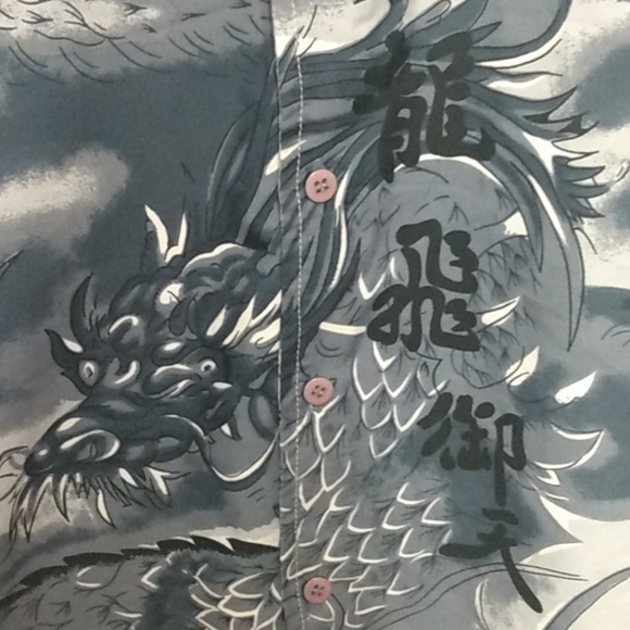 GET WAY Men's T-shirt Dragon Size XL Gray - Picture 2 of 6